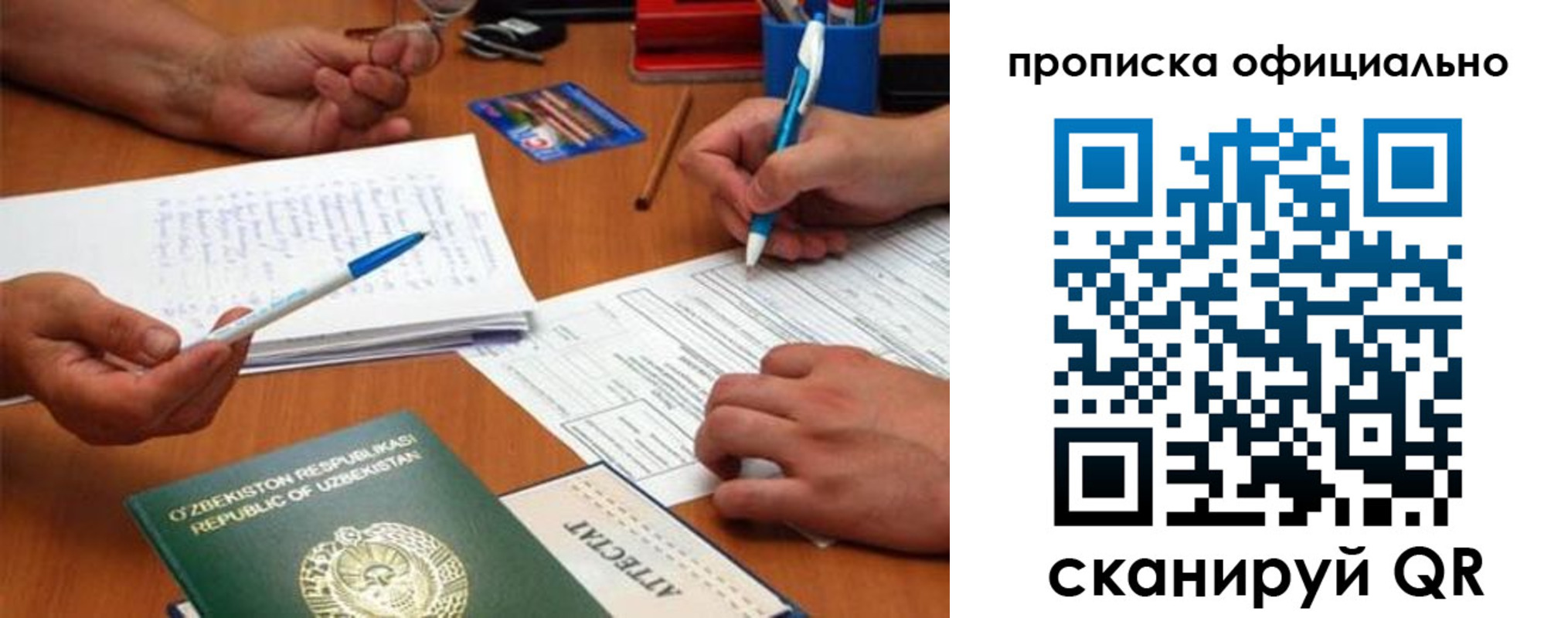 прописка поиск в Мурманске